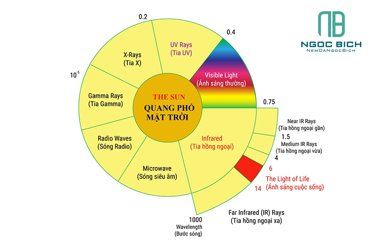 nhiet-hong-ngoai-o-ghe-massage